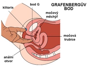 Návod na mokrý orgasmus